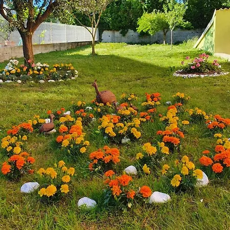 Fiori E Frutti - Monolocale Almese