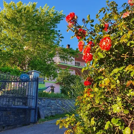 Appartement Fiori E Frutti - Monolocale *