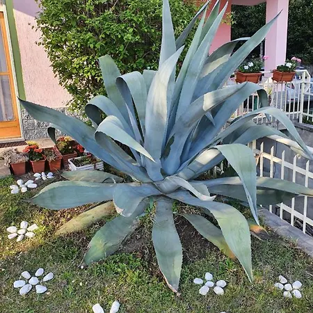 Fiori E Frutti - Monolocale Appartement Almese